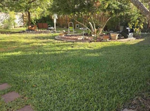 David L.'s lawn care service result