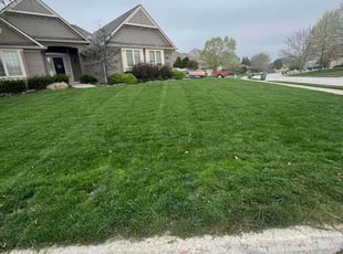 Jose R.'s lawn maintenance service result