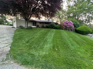 Kyria B.'s grass maintenance service result