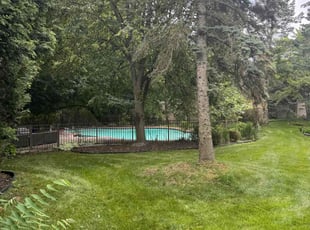 Laurie M.'s turf care service result