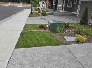 Paul P.'s grass maintenance service result