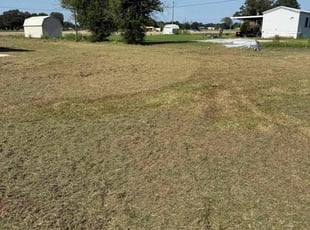 Bobby M.'s grass cutting service result