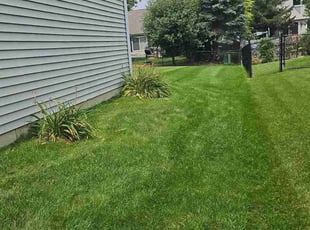 Laura S.'s grass cutting service result