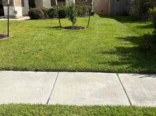 Ginger E.'s grass cutting service result