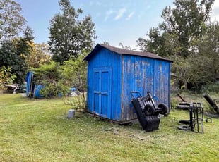 Katherine C.'s turf care service result