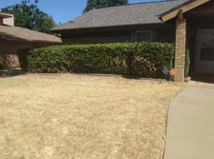Jekisha G.'s Bush Trimming service result