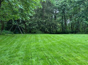 Danny W.'s turf maintenance service result