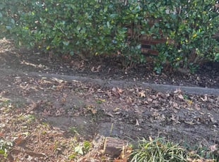 Sandy W.'s Flower Bed Weeding service result