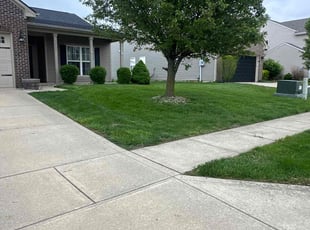 Jess O.'s turf maintenance service result