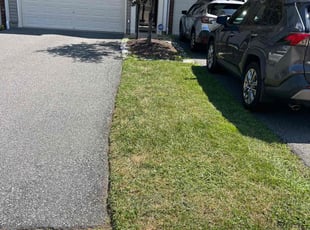 Brendon M.'s turf care service result