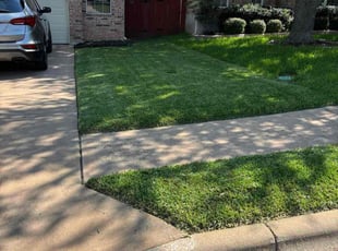 Madhavi C.'s turf maintenance service result