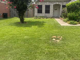 Donna M.'s grass cutting service result