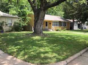 Shelia B.'s grass cutting service result