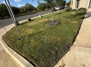 Emily L.'s lawn maintenance service result