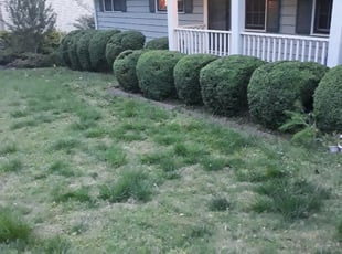 John R.'s Bush Trimming service result