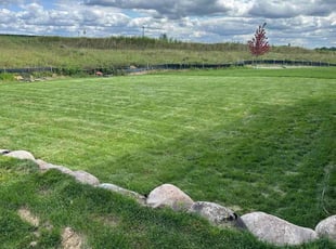 Beth A.'s lawn maintenance service result