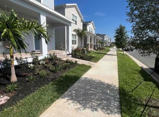Elizabeth L.'s yard work service result