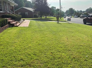 Yvonna F.'s grass maintenance service result