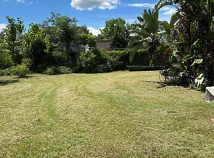 Marcia S.'s turf care service result