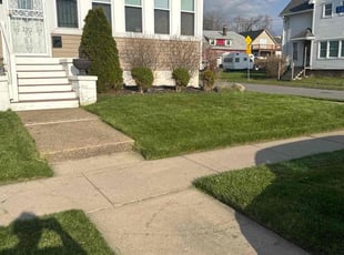 Ceidy H.'s turf maintenance service result
