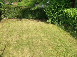 Jessica F.'s grass cutting service result