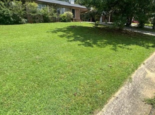 Barbara B.'s lawn maintenance service result