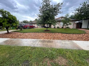 Vera M.'s lawn care service result