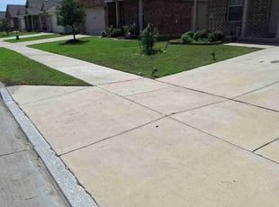 Tyler R.'s turf care service result