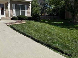 Patty B.'s lawn maintenance service result