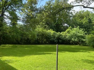 Denise S.'s lawn care services service result