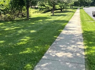 Elizabeth O.'s grass cutting service result
