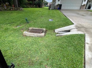 Matt V.'s Long Grass Cleanup service result
