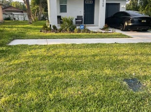 Brian M.'s lawn service service result
