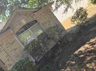 James E.'s Bush Trimming service result