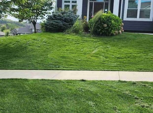 Maryjane P.'s turf care service result