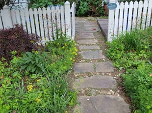 Suda B.'s lawn care services service result