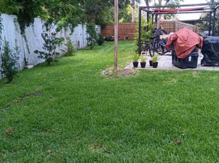 Bess S.'s grass maintenance service result