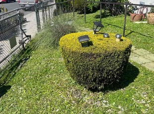 Larry G.'s lawn service service result