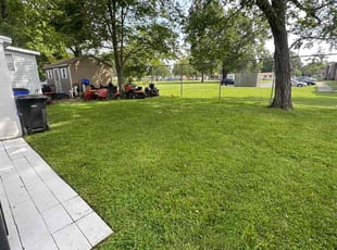 Rilla M.'s turf maintenance service result