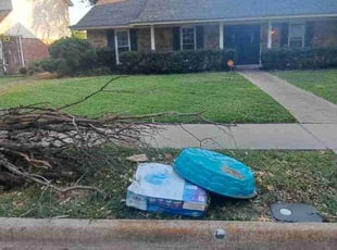 Kiyisha A.'s lawn care services service result