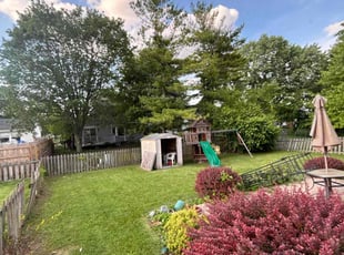 Briaunna L.'s turf care service result