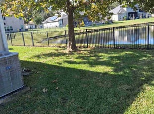 Tony J.'s lawn care service result