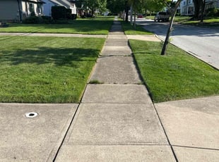 Joey W.'s lawn maintenance service result