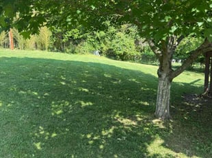 Ronald C.'s grass cutting service result