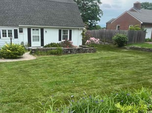 Violet P.'s grass maintenance service result