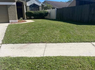 Lynda P.'s turf maintenance service result