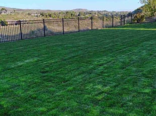 Ashley M.'s lawn care services service result