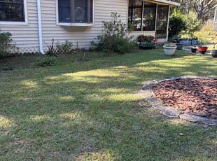 Joey L.'s lawn care service result