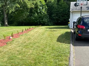 Evelyn C.'s lawn maintenance service result