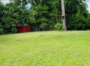 Rita B.'s lawn maintenance service result